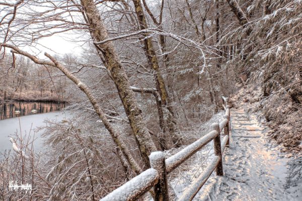 Gertrude Boyden Wildlife Refuge Snow